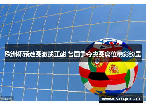 欧洲杯预选赛激战正酣 各国争夺决赛席位精彩纷呈