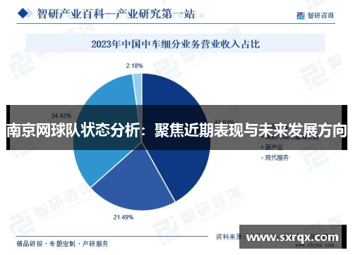 南京网球队状态分析：聚焦近期表现与未来发展方向