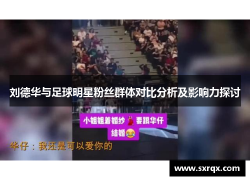 刘德华与足球明星粉丝群体对比分析及影响力探讨